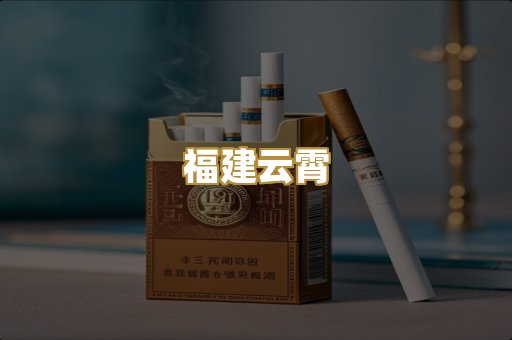 福建云霄